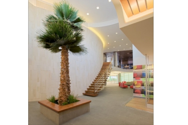 Lobby at Physical Therapy Clinic in Queens, Long Island City