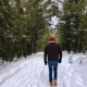 Matthew Dolan waking in snowy forest